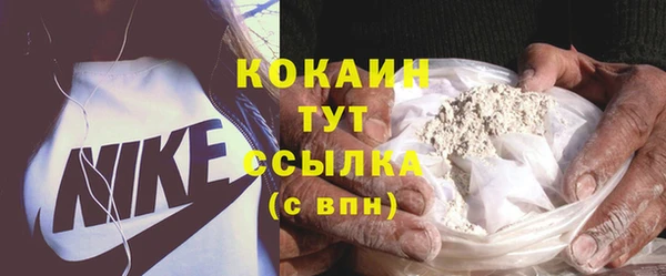 сатива Белокуриха