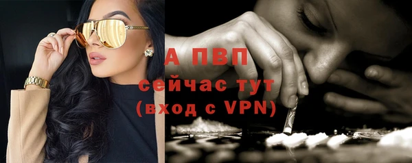 винт Рославль